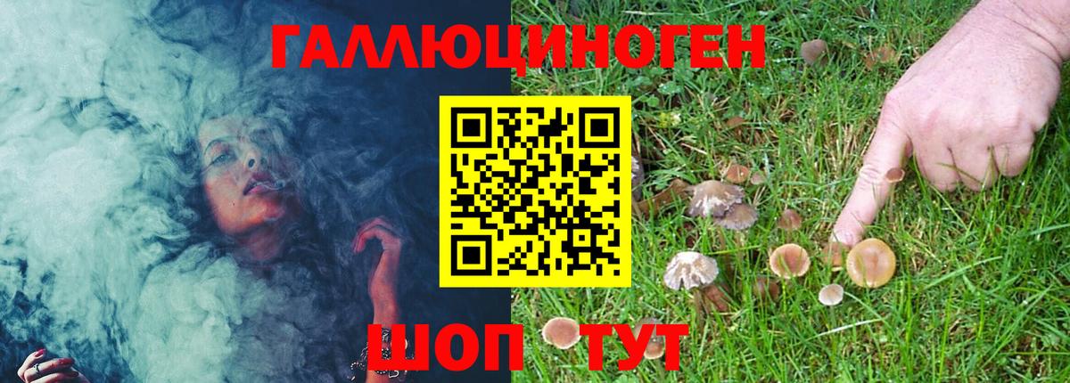 Галлюциногенные грибы MAGIC MUSHROOMS Глазов
