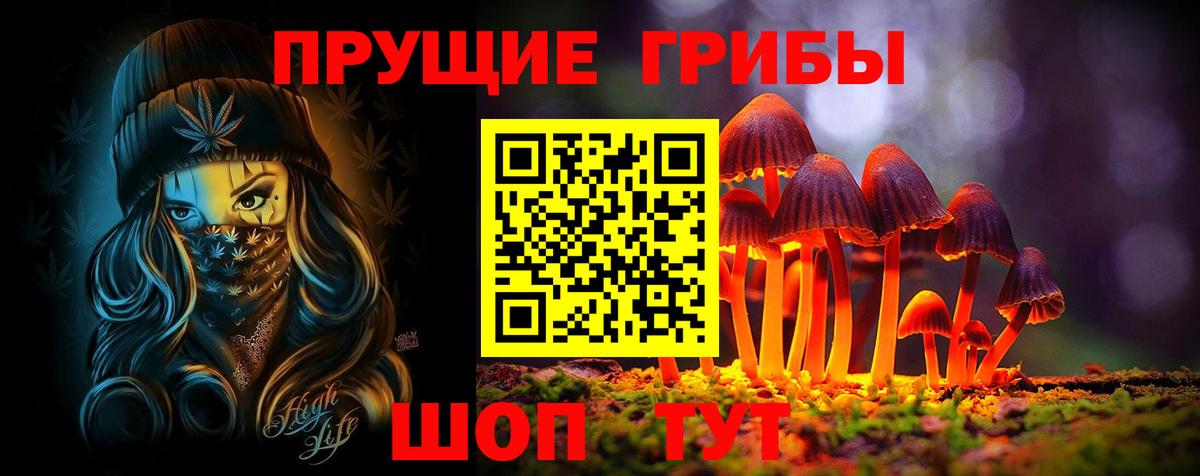 Глазов  Псилоцибиновые грибы прущие грибы  Псилоцибиновые грибы Magic Shrooms  наркота  Вход с VPN 